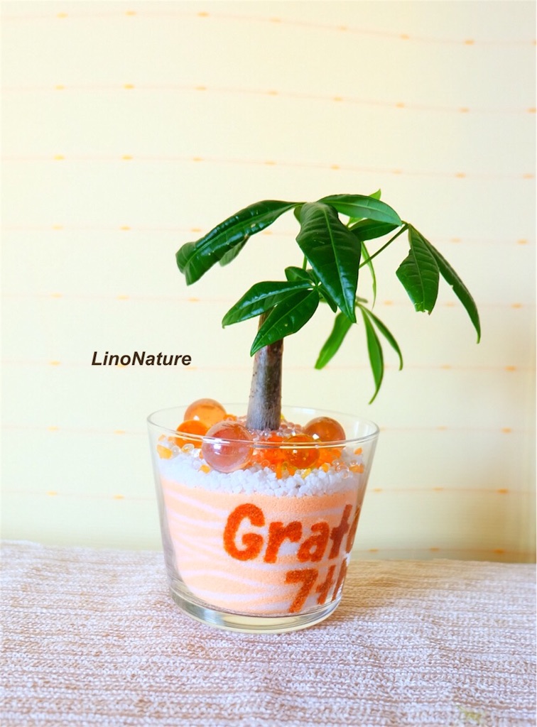 f:id:linonature:20160307130300j:image f:id:linonature:20160307130300j:image