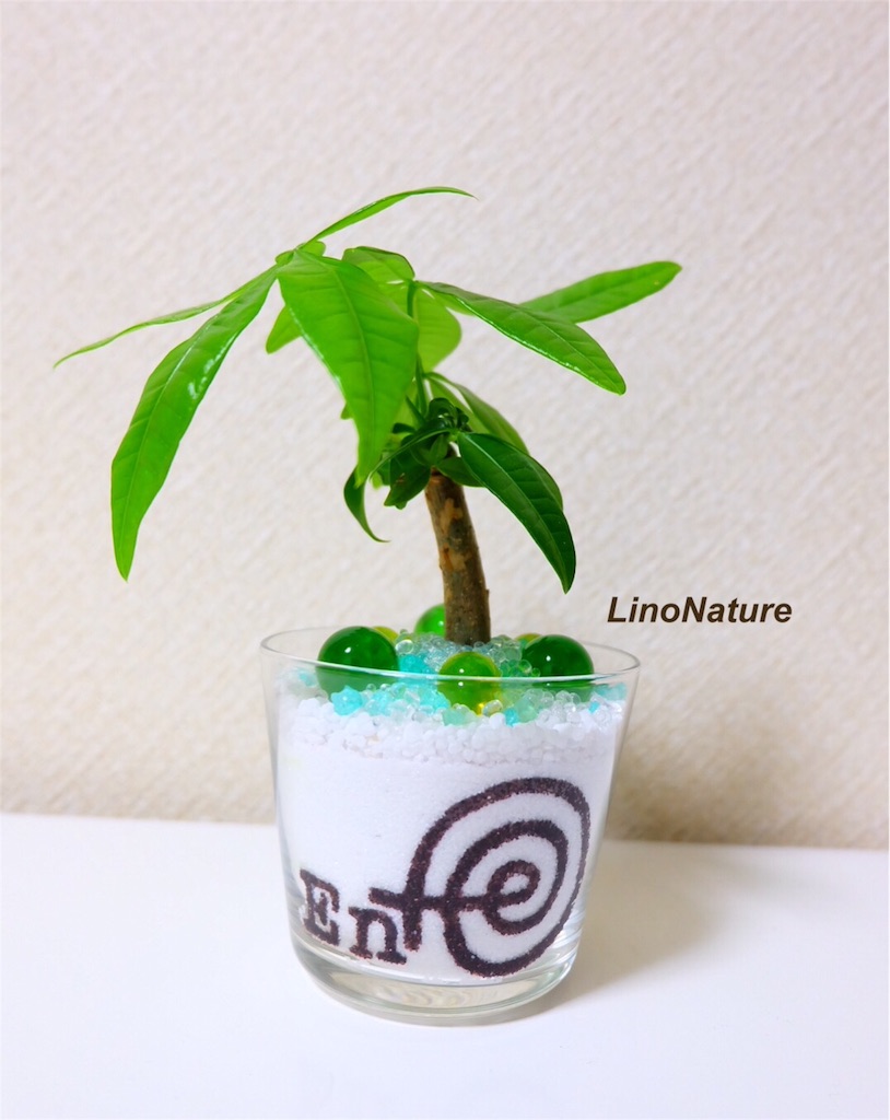 f:id:linonature:20160410225604j:image f:id:linonature:20160410225604j:image