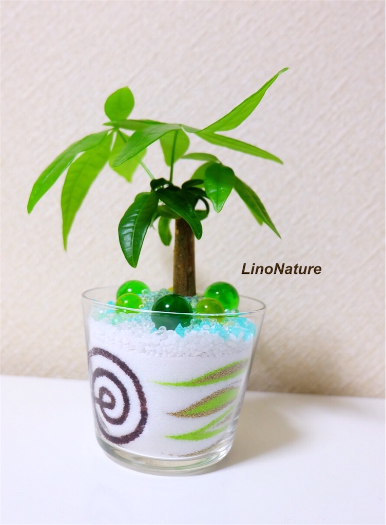 f:id:linonature:20160410225621j:image f:id:linonature:20160410225621j:image