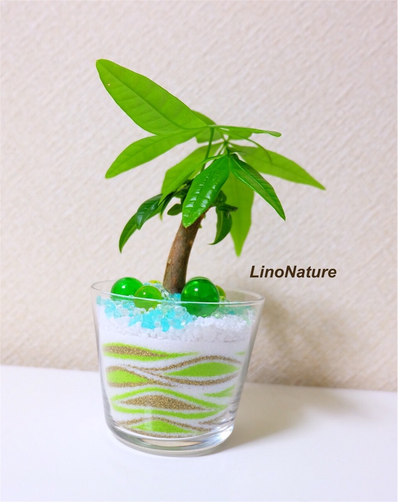 f:id:linonature:20160410225706j:image f:id:linonature:20160410225706j:image