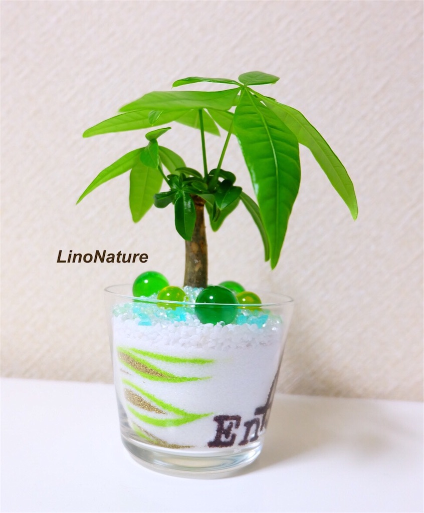 f:id:linonature:20160410225718j:image f:id:linonature:20160410225718j:image