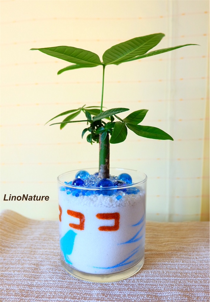 f:id:linonature:20160506114828j:image f:id:linonature:20160506114828j:image
