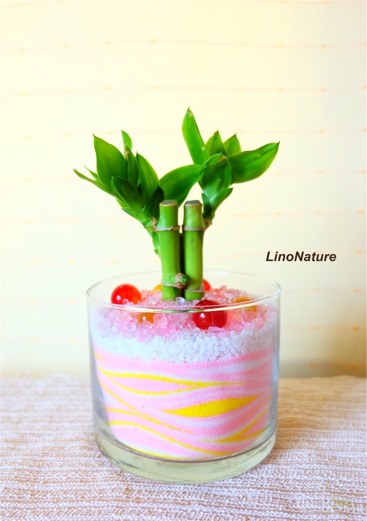 f:id:linonature:20160509163501j:image f:id:linonature:20160509163501j:image