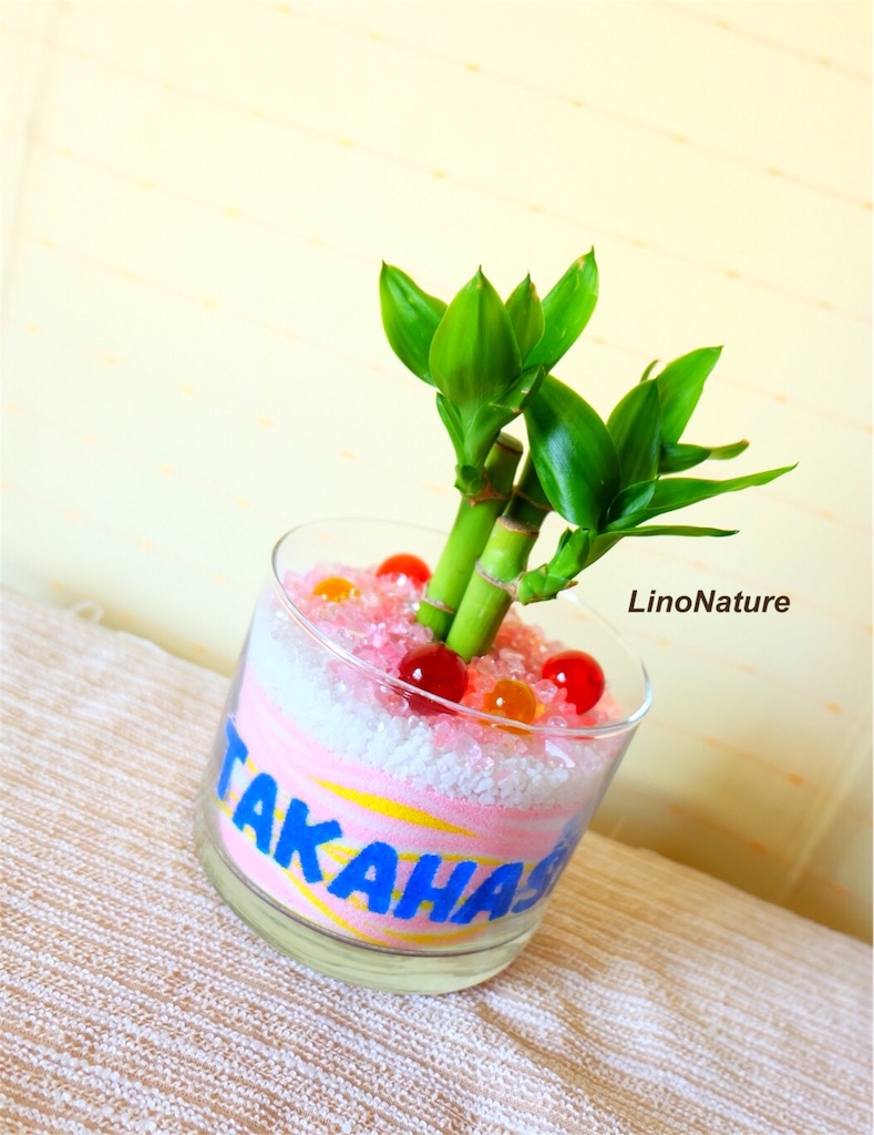 f:id:linonature:20160509163518j:image f:id:linonature:20160509163518j:image