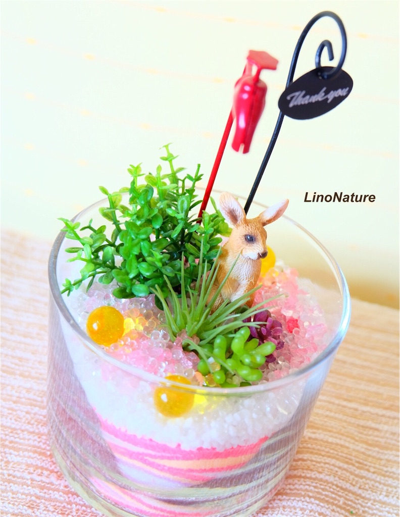 f:id:linonature:20160606153428j:image f:id:linonature:20160606153428j:image
