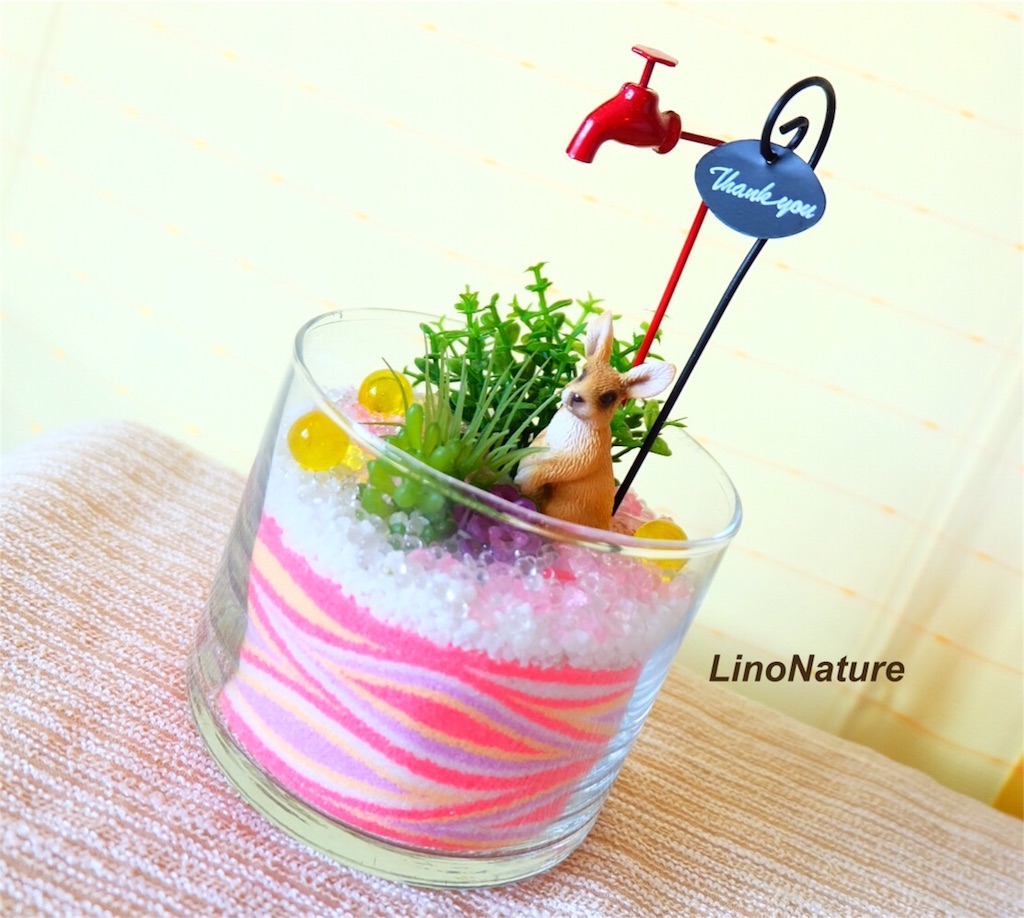f:id:linonature:20160606153502j:image f:id:linonature:20160606153502j:image