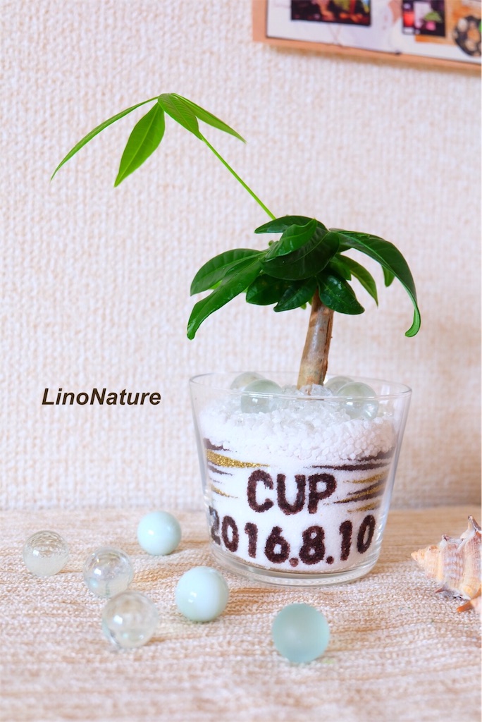 f:id:linonature:20160906233349j:image f:id:linonature:20160906233349j:image