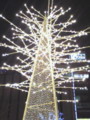 f:id:lintu25:20081128195250j:image