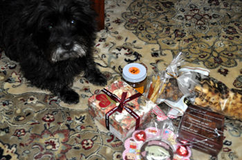 f:id:lion-dog:20100214170627j:image