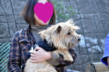 f:id:lion-dog:20100224143110j:image