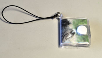 f:id:lion-dog:20100319090621j:image