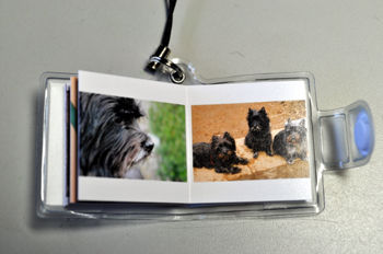 f:id:lion-dog:20100319090810j:image