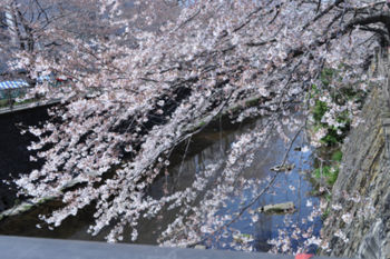 f:id:lion-dog:20100330113950j:image