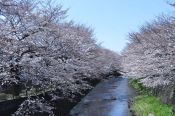 f:id:lion-dog:20100330121256j:image