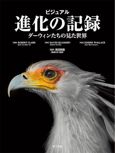 f:id:lion0024:20180601101032j:image