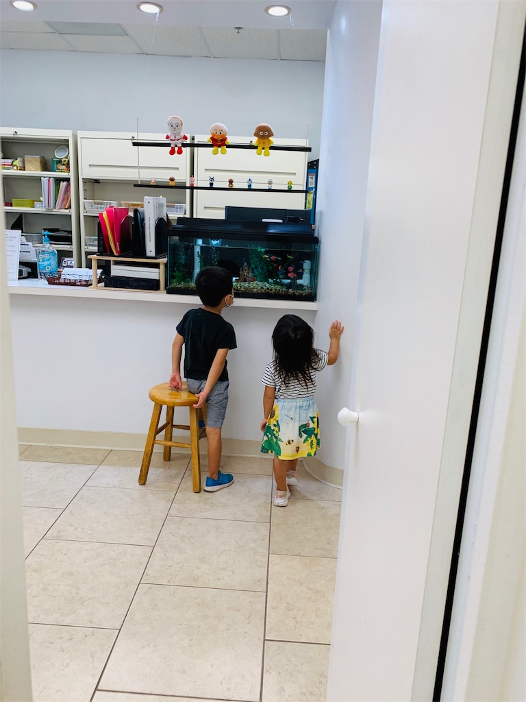 f:id:lion1126:20190212112052j:image f:id:lion1126:20190212112052j:image
