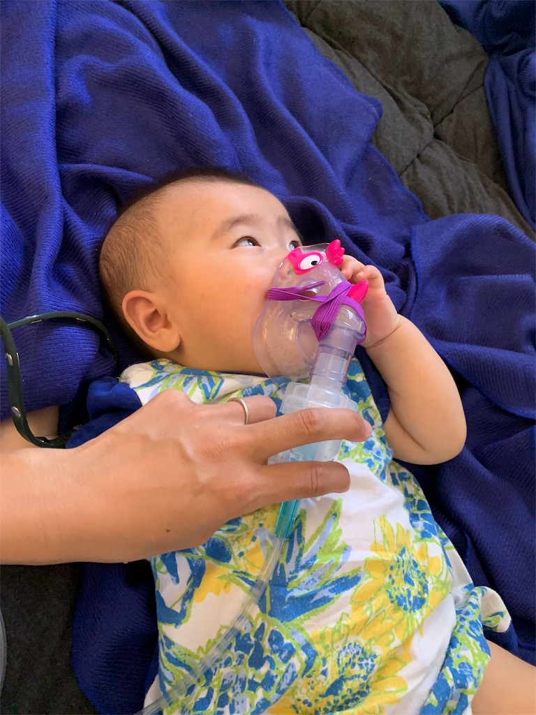 f:id:lion1126:20190212112728j:image f:id:lion1126:20190212112728j:image