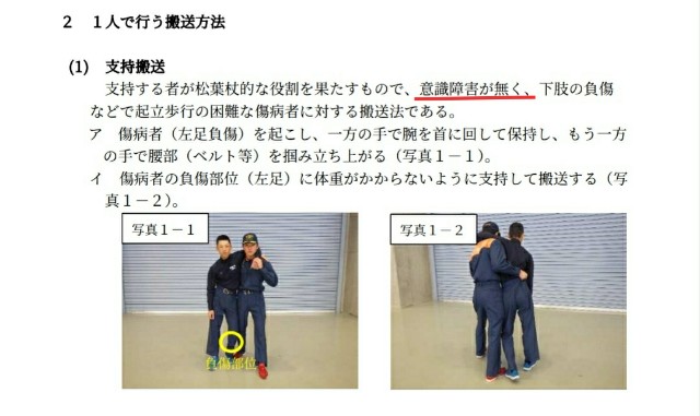 f:id:lionclover:20200507130712j:image