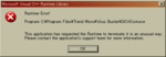 Virus Buster Runtime Error