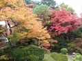 20201230163841
