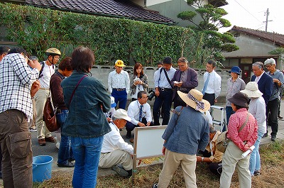 f:id:lippia:20101018231014j:image