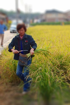 f:id:lippia:20101018233029j:image