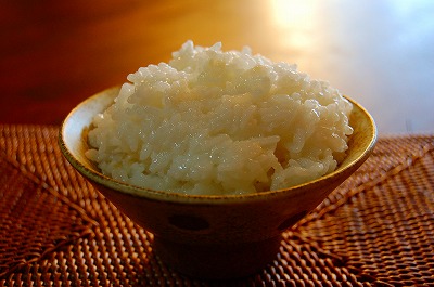 f:id:lippia:20101029214102j:image