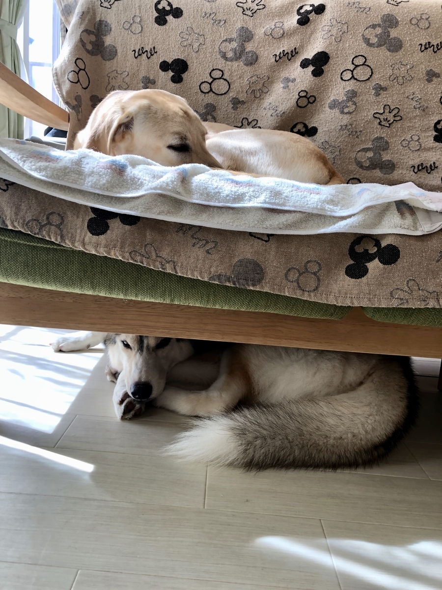 f:id:lira-leo:20190926145657j:plain