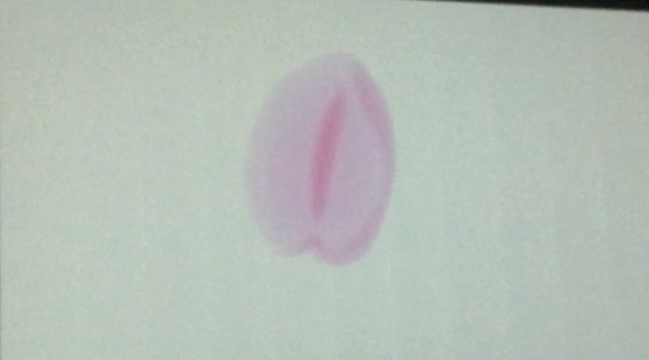 f:id:lirlia:20150517223722j:plain