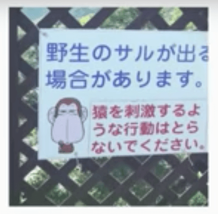 f:id:lirlia:20180104150658j:plain