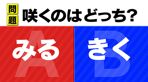 f:id:lirlia:20191222124558j:plain