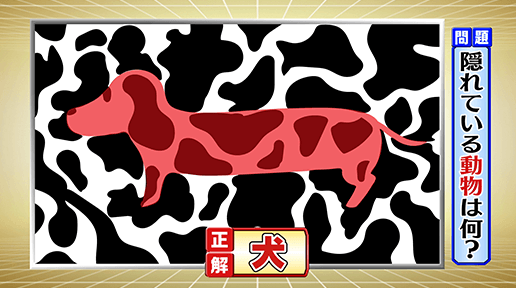 f:id:lirlia:20191222125650j:plain