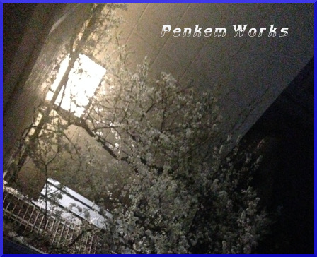 f:id:lis2016zz:20190323095228j:plain