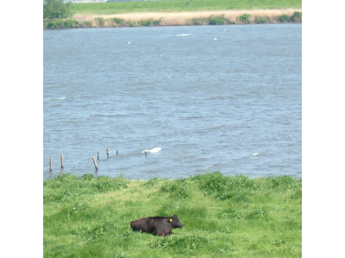 f:id:lis2016zz:20190824064249j:plain