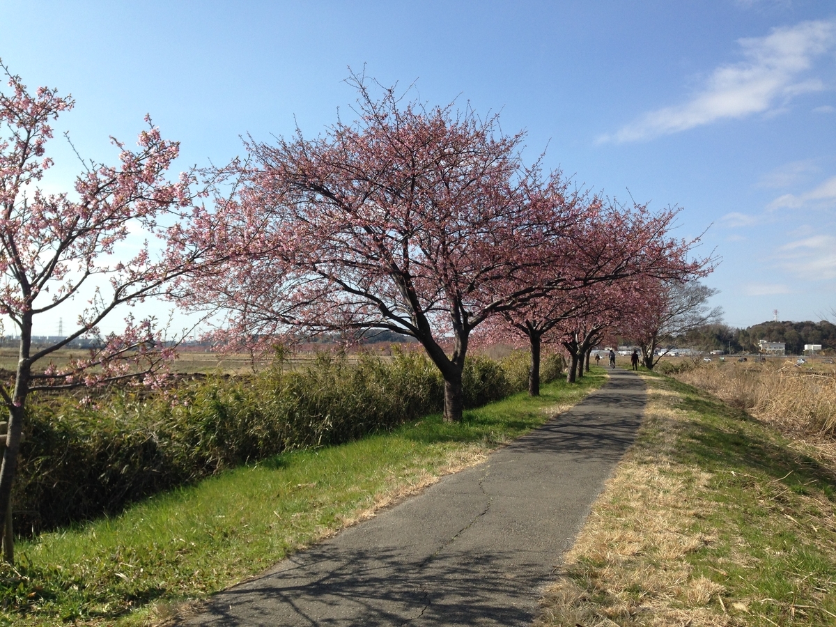 f:id:lis2016zz:20200226073744j:plain