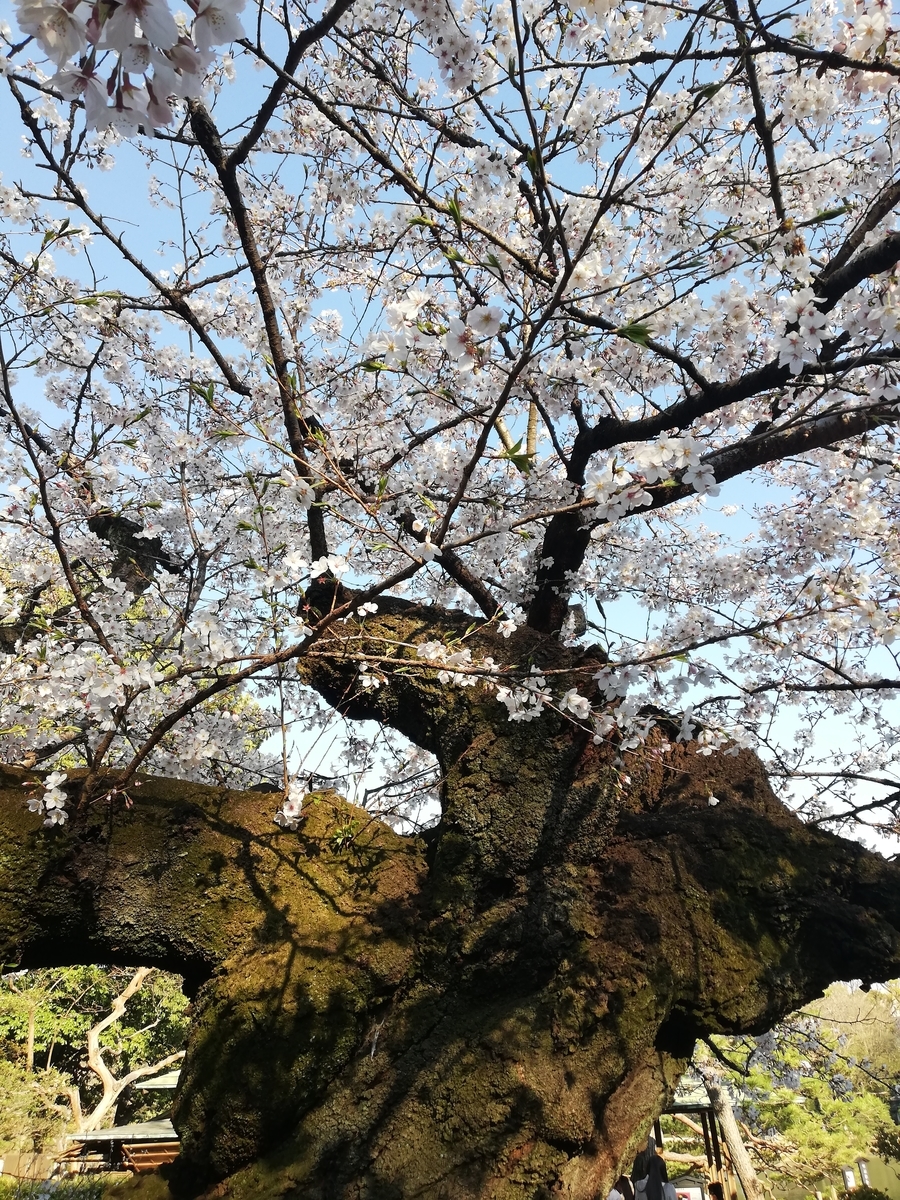 f:id:lis_arielle:20190403161253j:plain f:id:lis_arielle:20190403161253j:plain