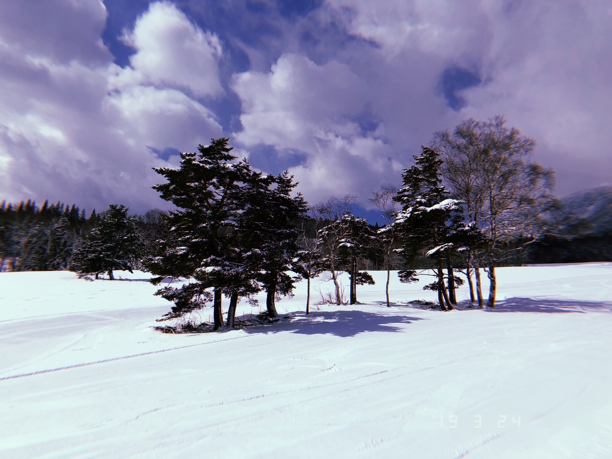 f:id:lisa0409ryu:20190419171434j:plain f:id:lisa0409ryu:20190419171434j:plain
