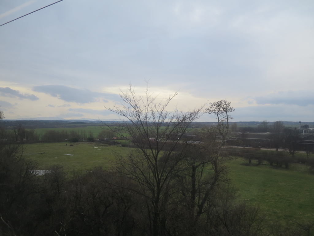 M214-C3-257 LINLITHGOW リンリスゴー 30年 ナチュラル カスク