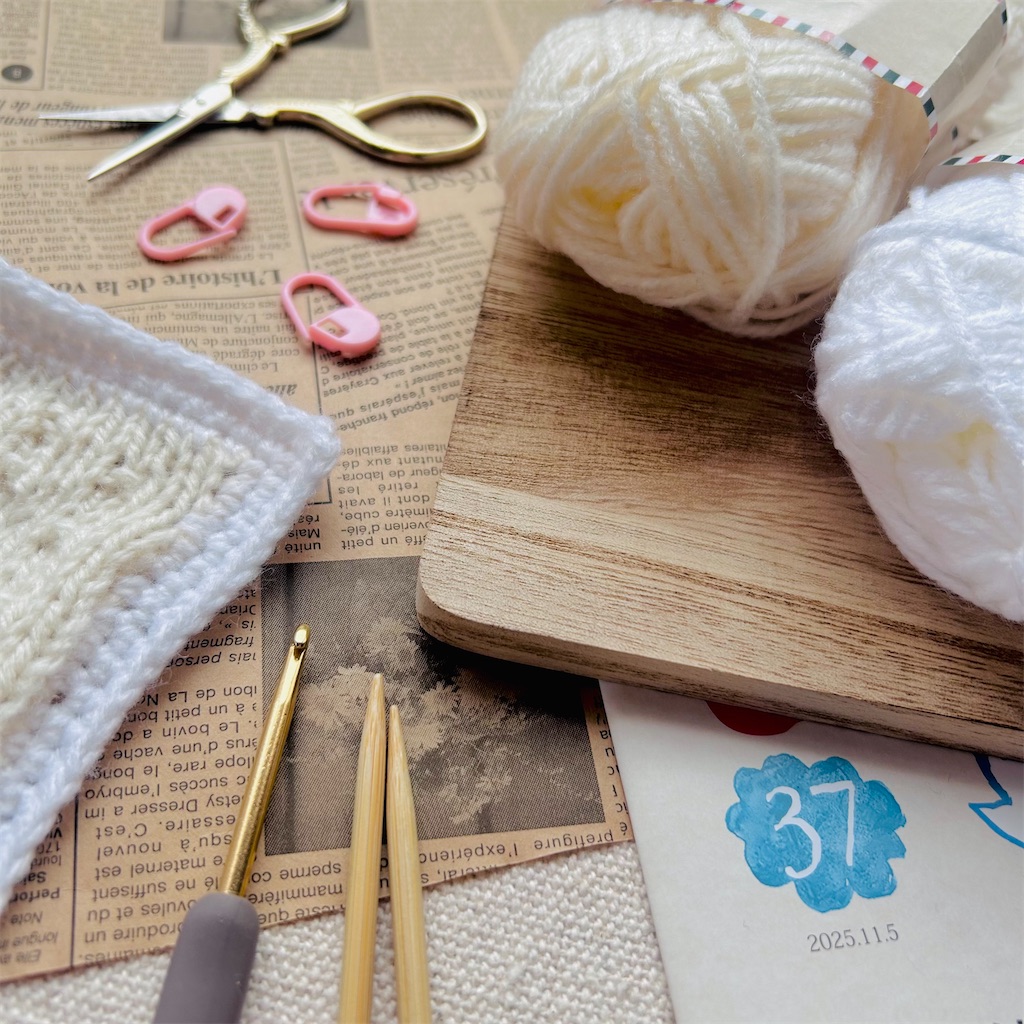 f:id:lisa_gas:20251124140343j:image