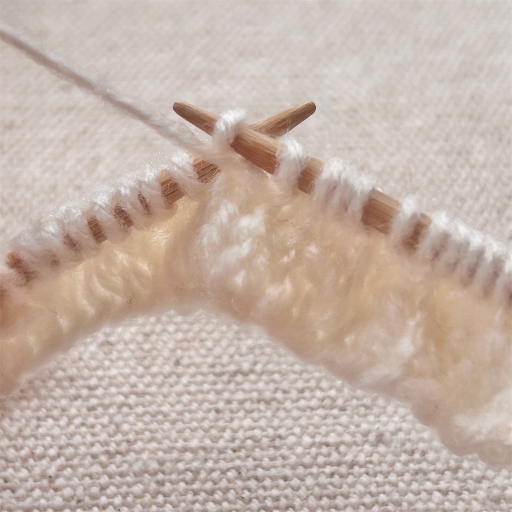 f:id:lisa_gas:20251124162822j:image