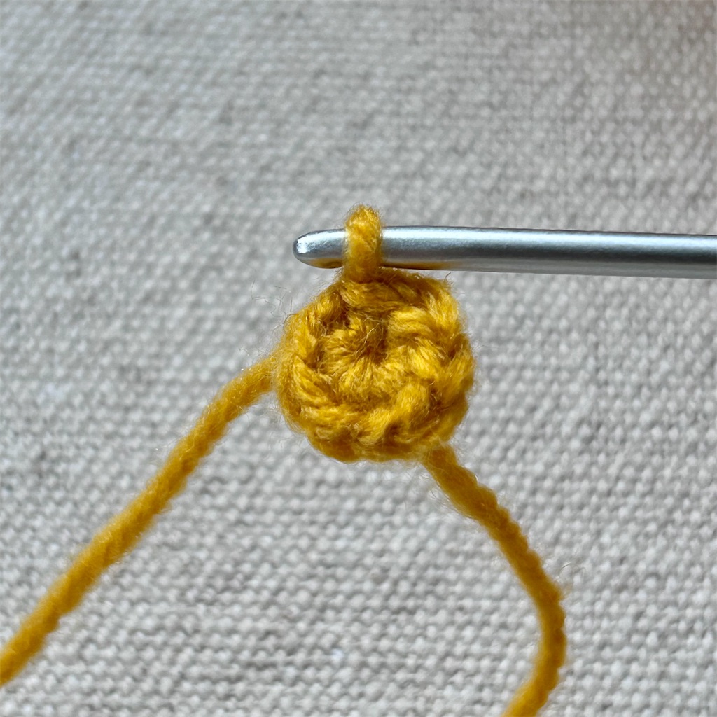 f:id:lisa_gas:20251205194532j:image