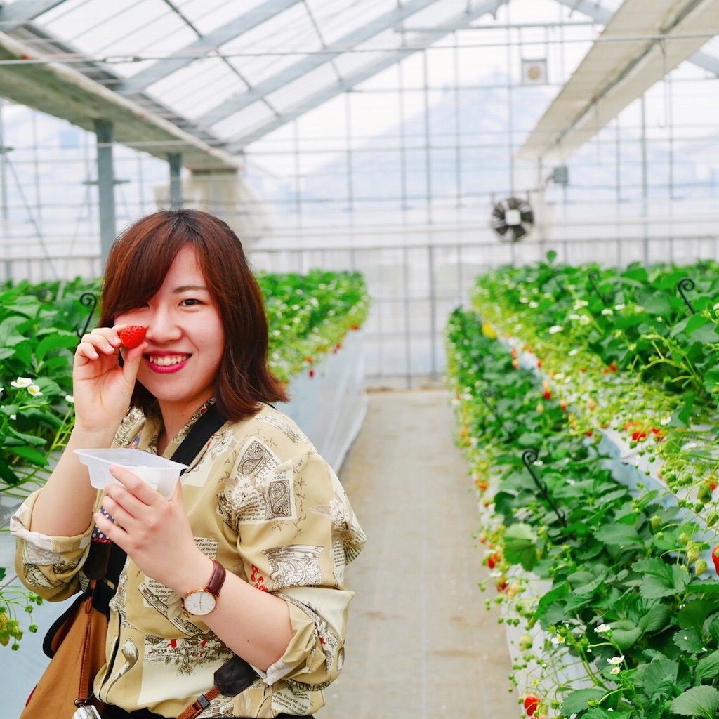 f:id:lisa_np_idn11:20190729221251j:image