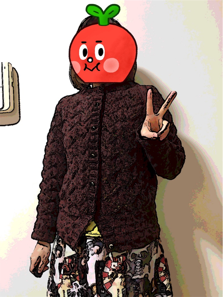 f:id:lisamori:20190318235330j:image
