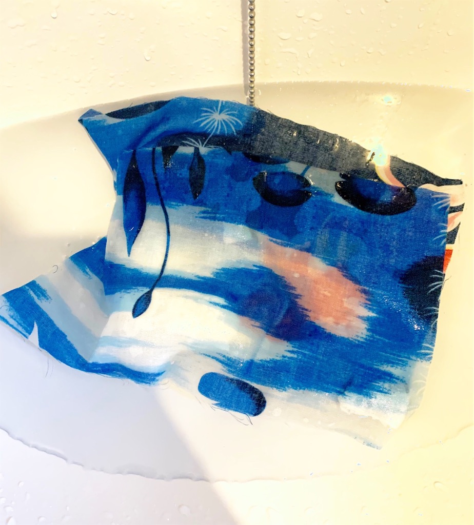 f:id:lisamori:20200426211646j:image