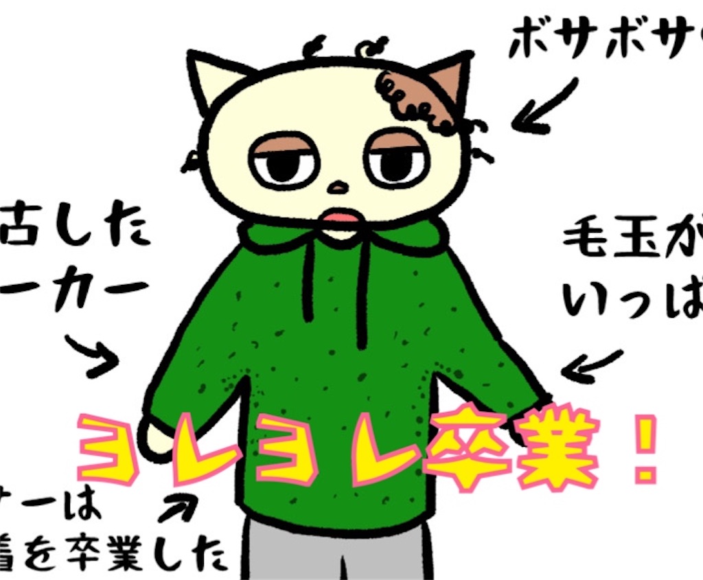 部屋着がボロだからオシャレな毛糸のパンツを編んでみたくなったブログ 不器用ですが編み物楽しんでます 時々縫い物と刺繍も