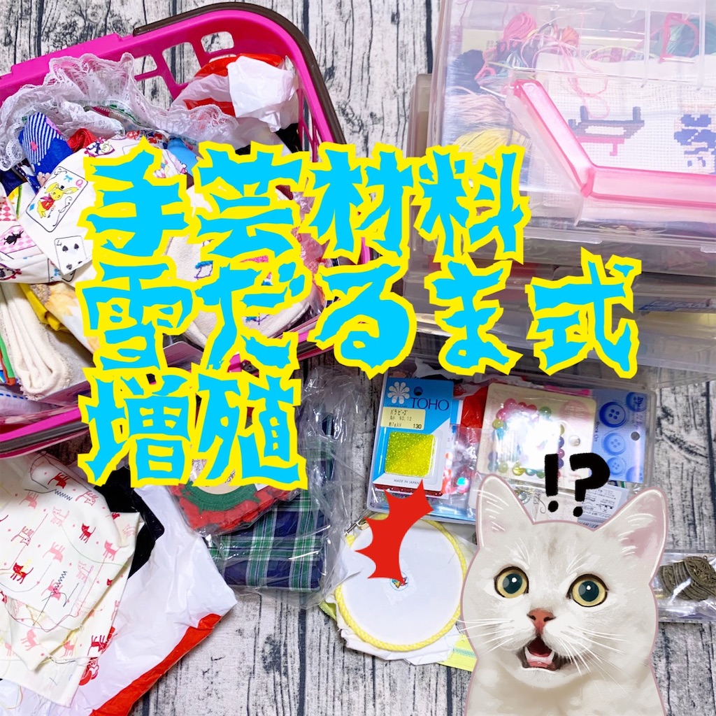 f:id:lisamori:20210605222302j:image