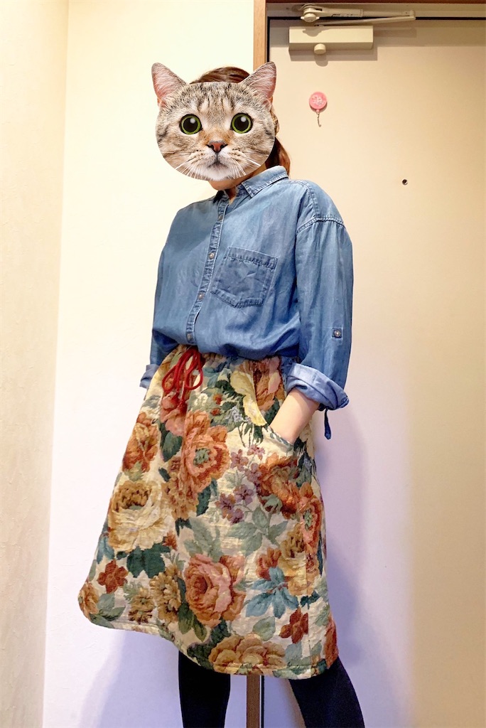 f:id:lisamori:20220112215947j:image