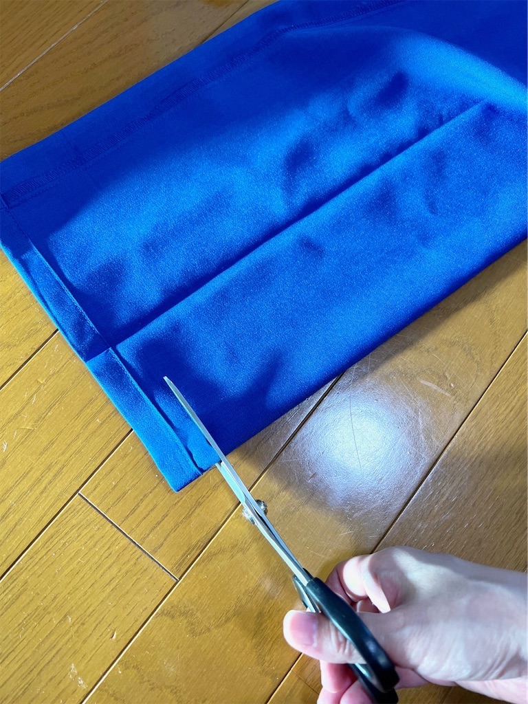 f:id:lisamori:20220606224828j:image