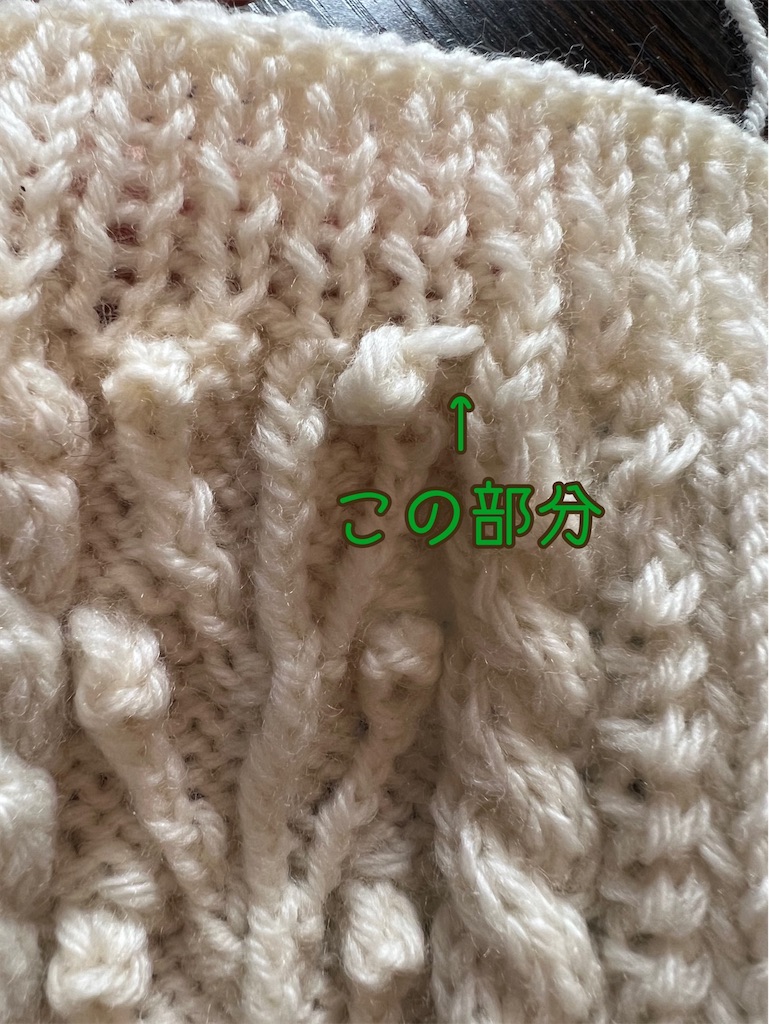 f:id:lisamori:20221213184647j:image