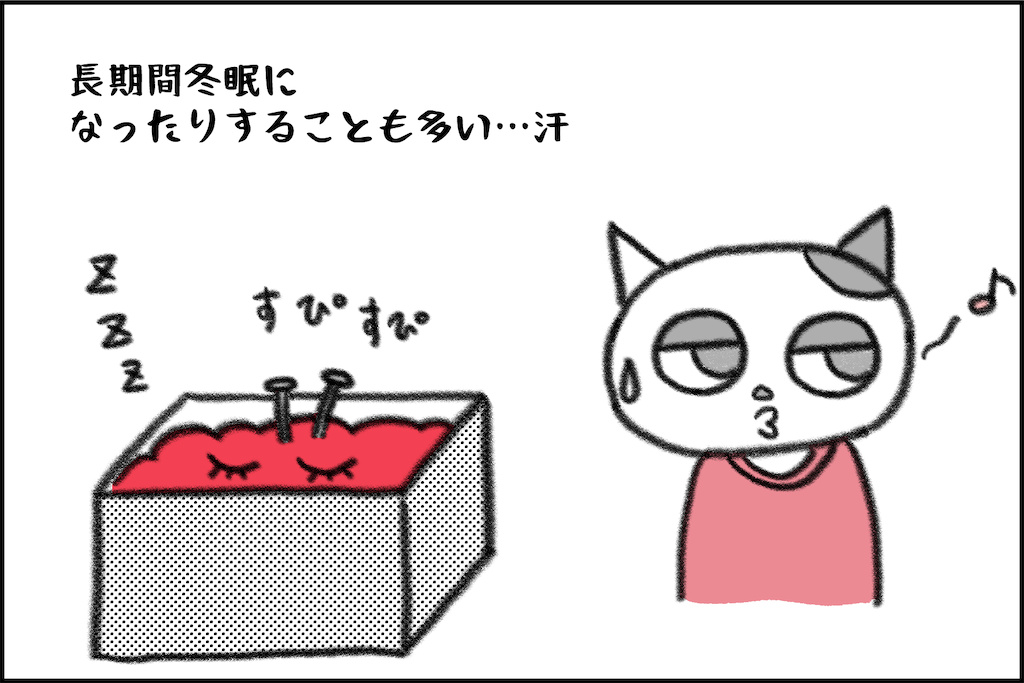 f:id:lisamori:20230220211702p:image